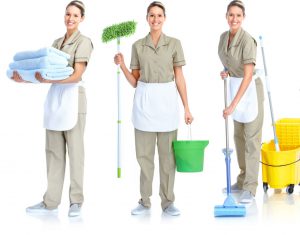Veja quais são os diferentes serviços de limpeza